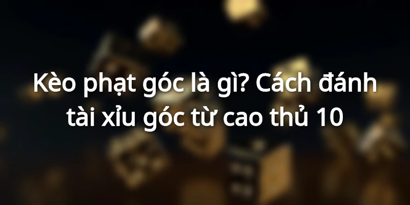 keo-phat-goc-la-gi-luu-y-can-biet-khi-ca-do